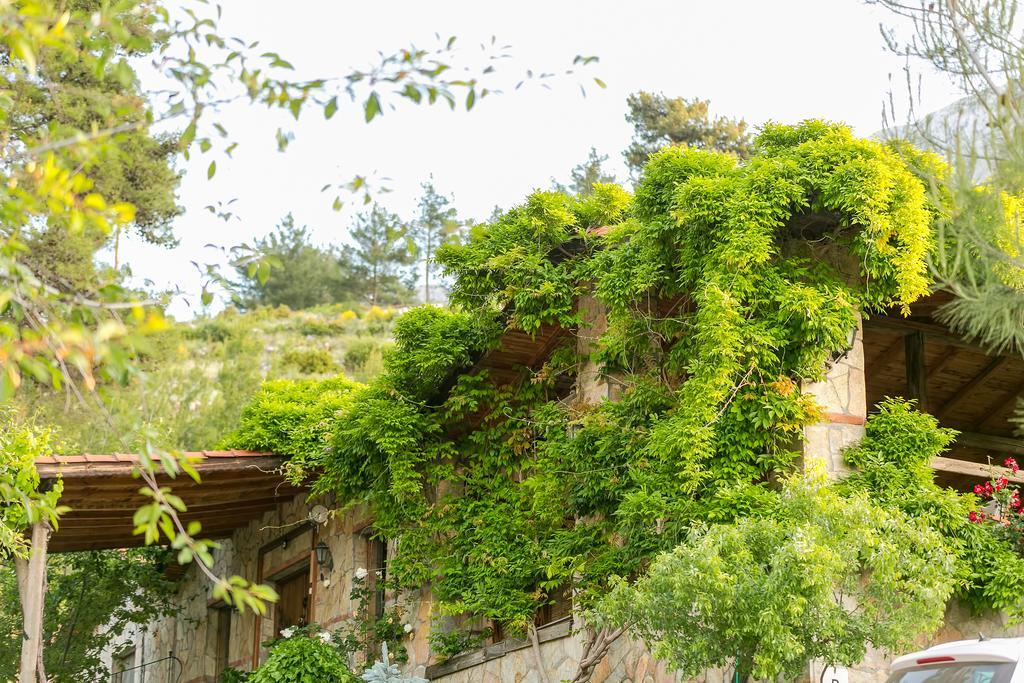 Olympos Mountain Lodge Beycik Esterno foto