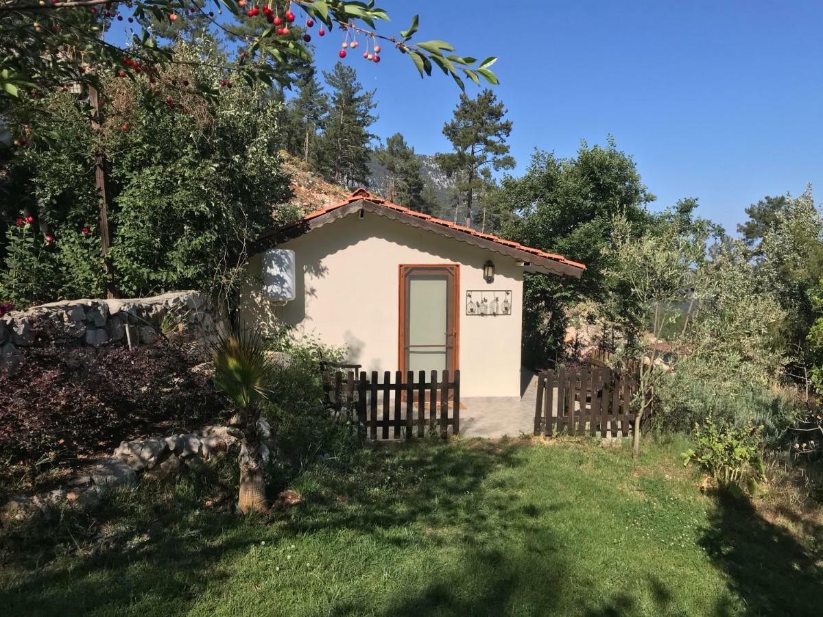 Olympos Mountain Lodge Beycik Esterno foto